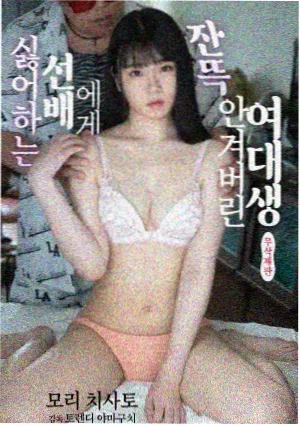 候鸟航线剧集海报
